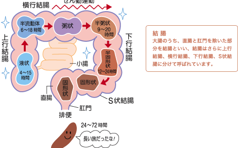 が 視 大腸 ん 鏡 手術 内